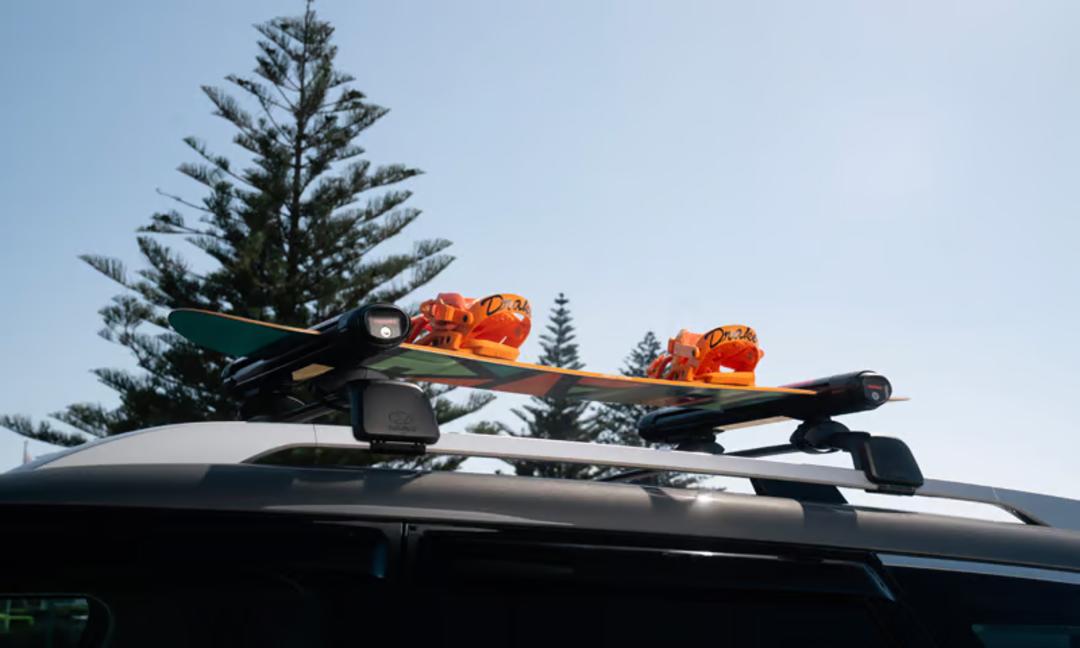 Ski & snowboard carrier