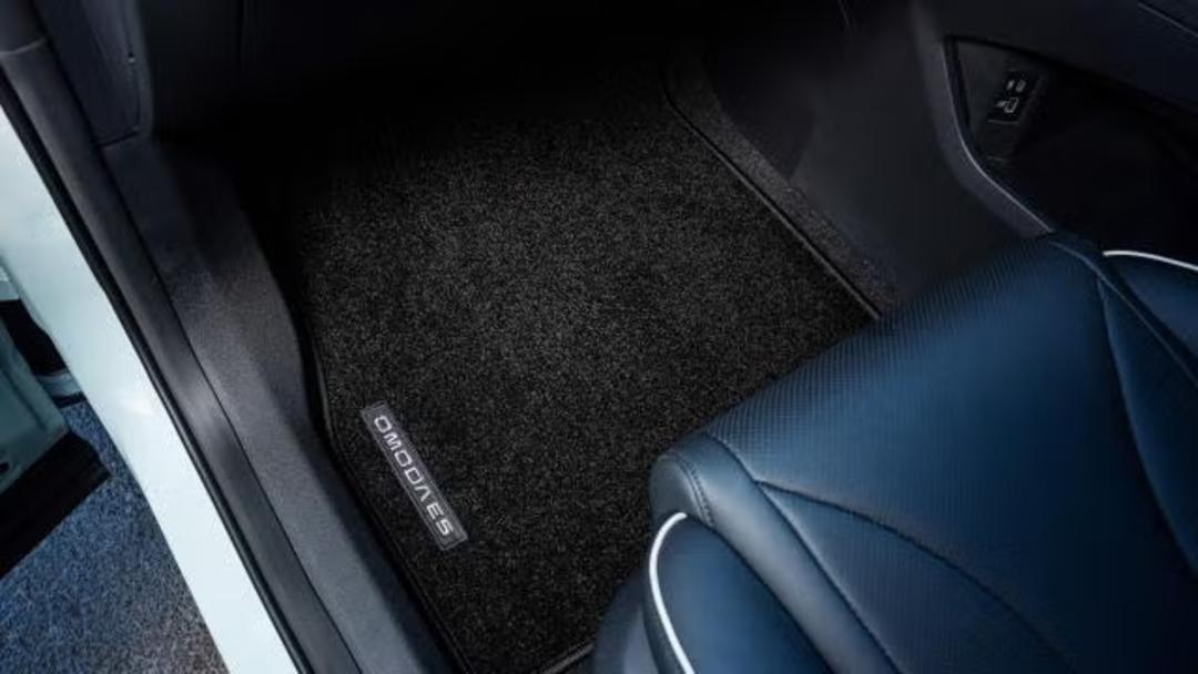 Floor Mats – Carpet
