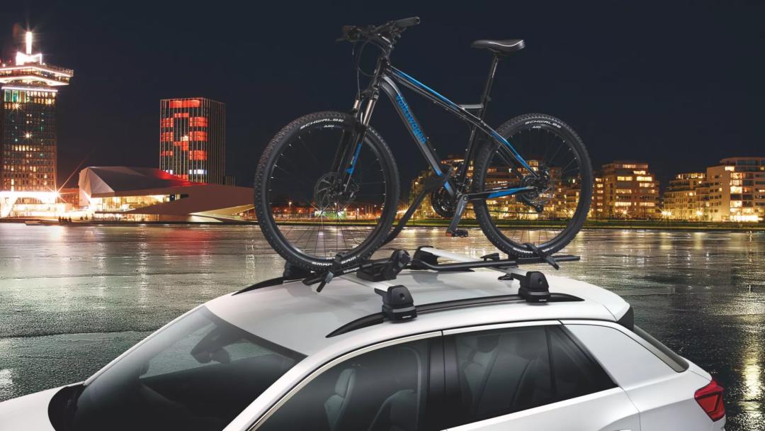 Bicycle carrier