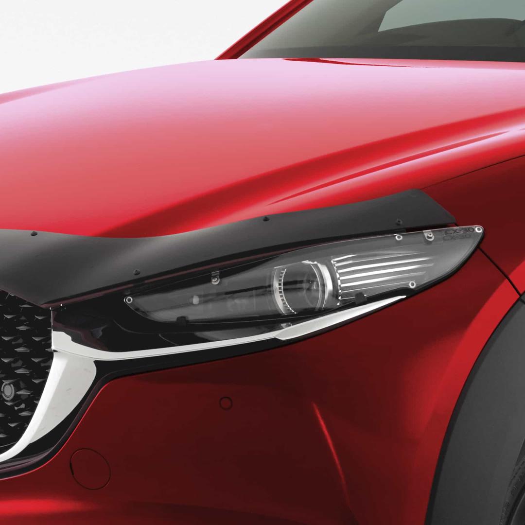 HEADLIGHT PROTECTORS