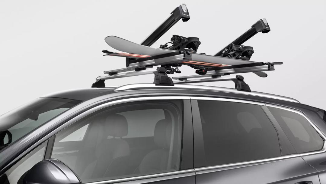 Ski and snowboard carrier