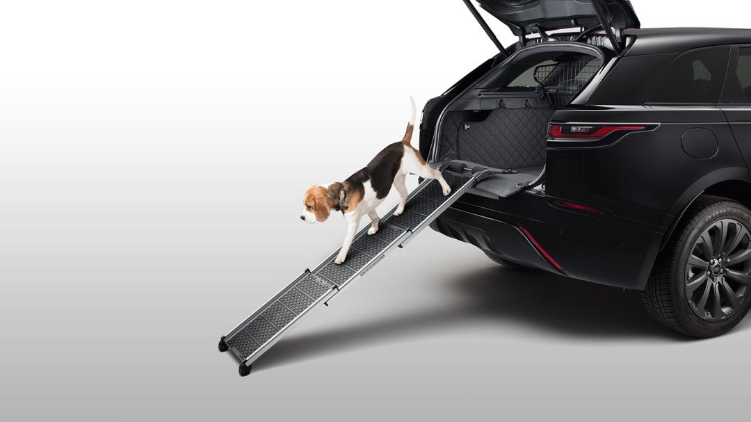 Pet Access Ramp