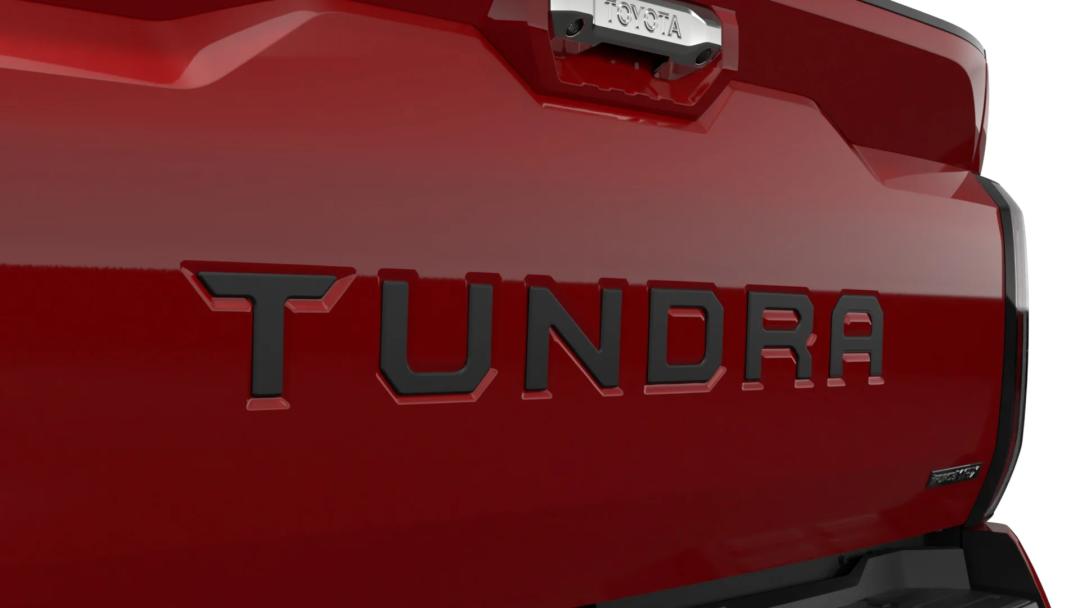 Tailgate Insert Badge (Black)