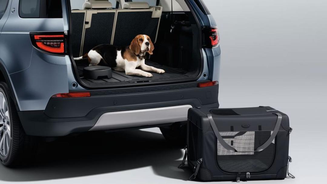 Foldable Pet Carrier