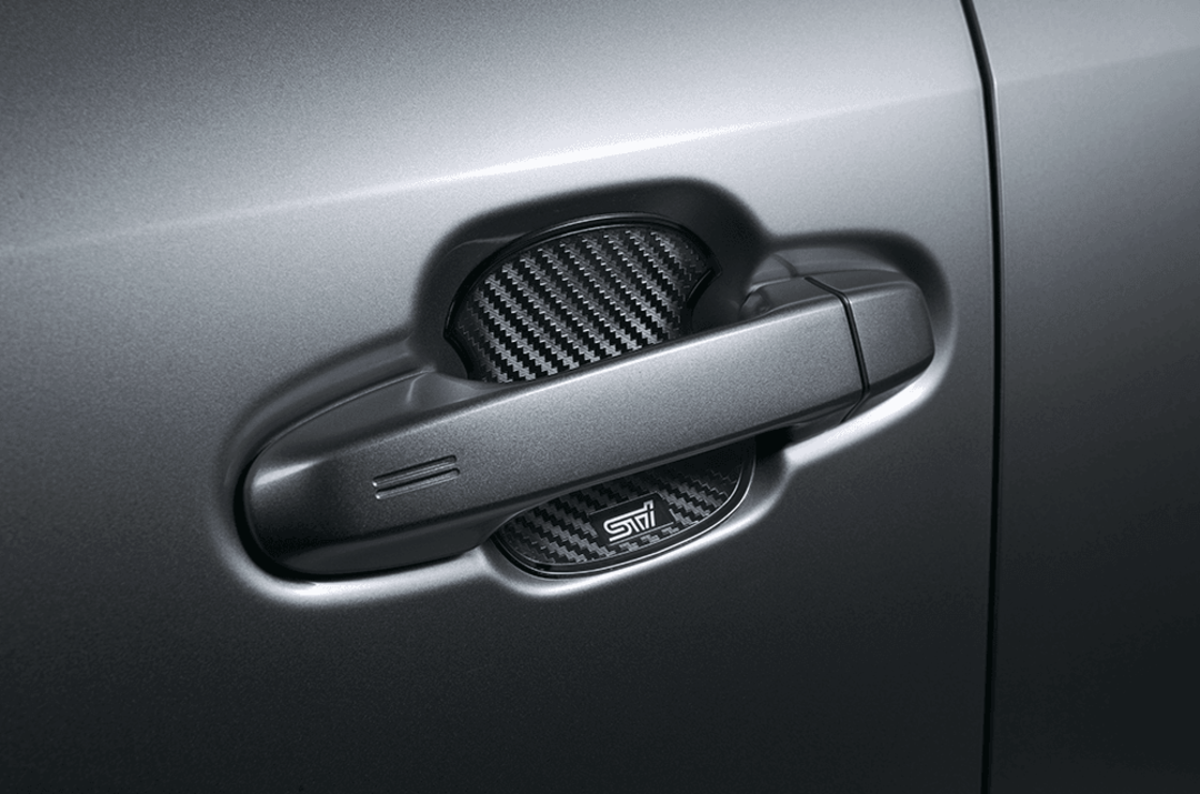Door Handle Protector