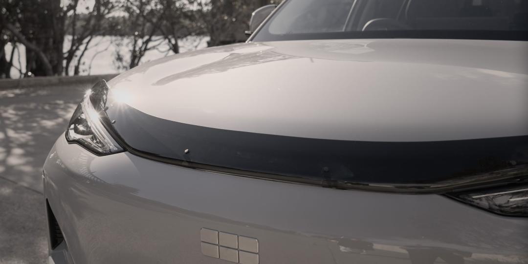 Bonnet Protector (Smoked) (Model: EX5)