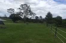 ANOTHER HAPPY CAMPER featured image