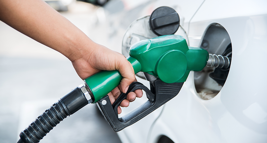 Weekly Fuel Report - Monday 28 October 2024 featured image