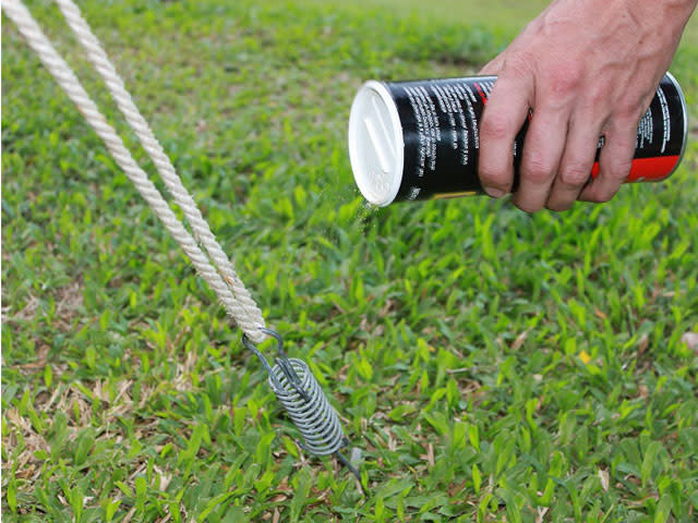 AVOIDING THE ANT INVASION featured image