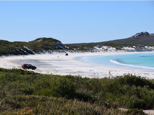 ANOTHER HAPPY CAMPER featured image