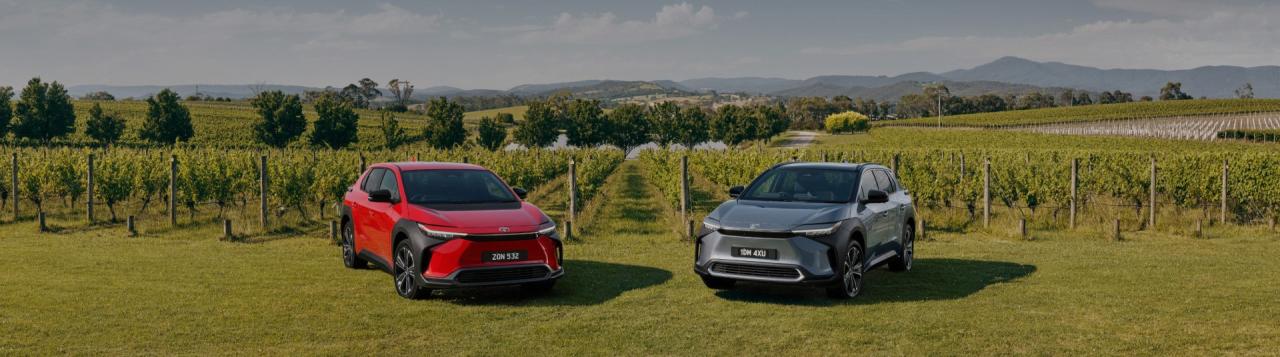 Your Guide to Electrified Vehicles and Business Fleets featured image