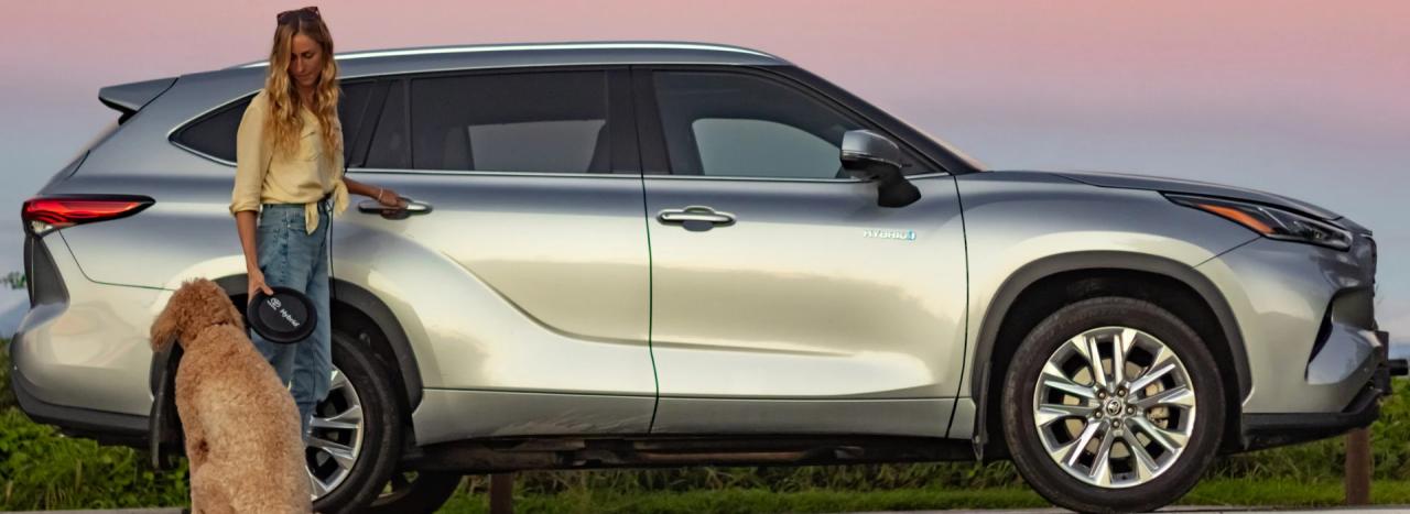 Brisbane! Discover Which Toyota Hybrid Is Best For You! featured image