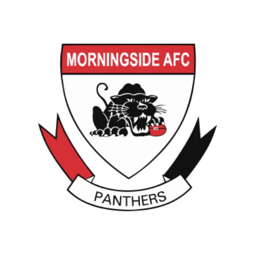 Morningside Panthers logo