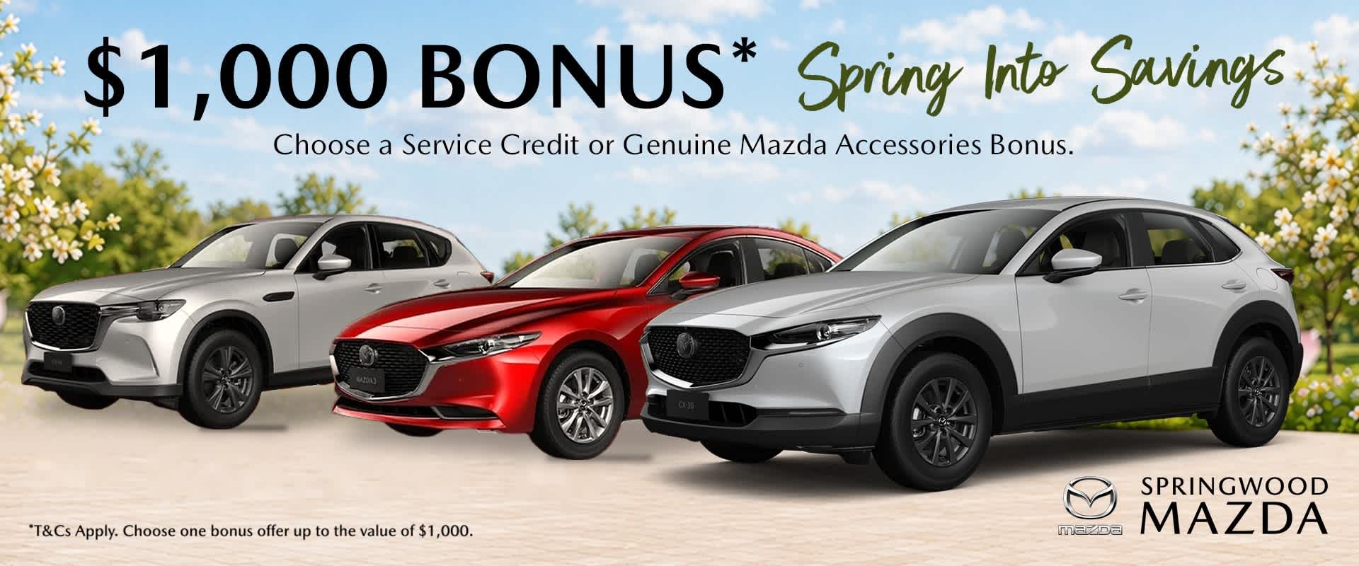 A new car promotion