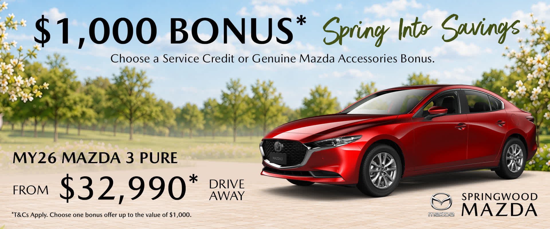 A new car promotion