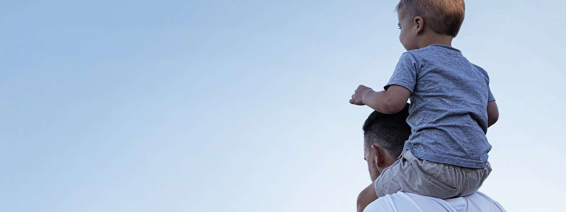 Hyundai Lifetime Service Plan.