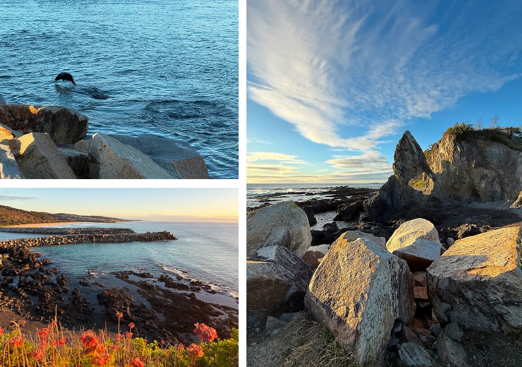Narooma – near the mouth of the Wagonga Inlet, (L above) fur seal, (L below) view from Bar Rock Lookout, and (R) Australia Rock