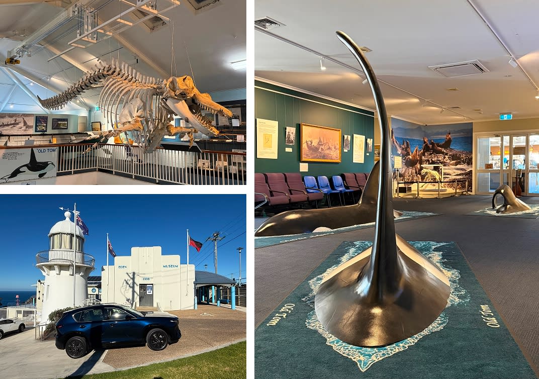 Eden – Eden Killer Whale Museum