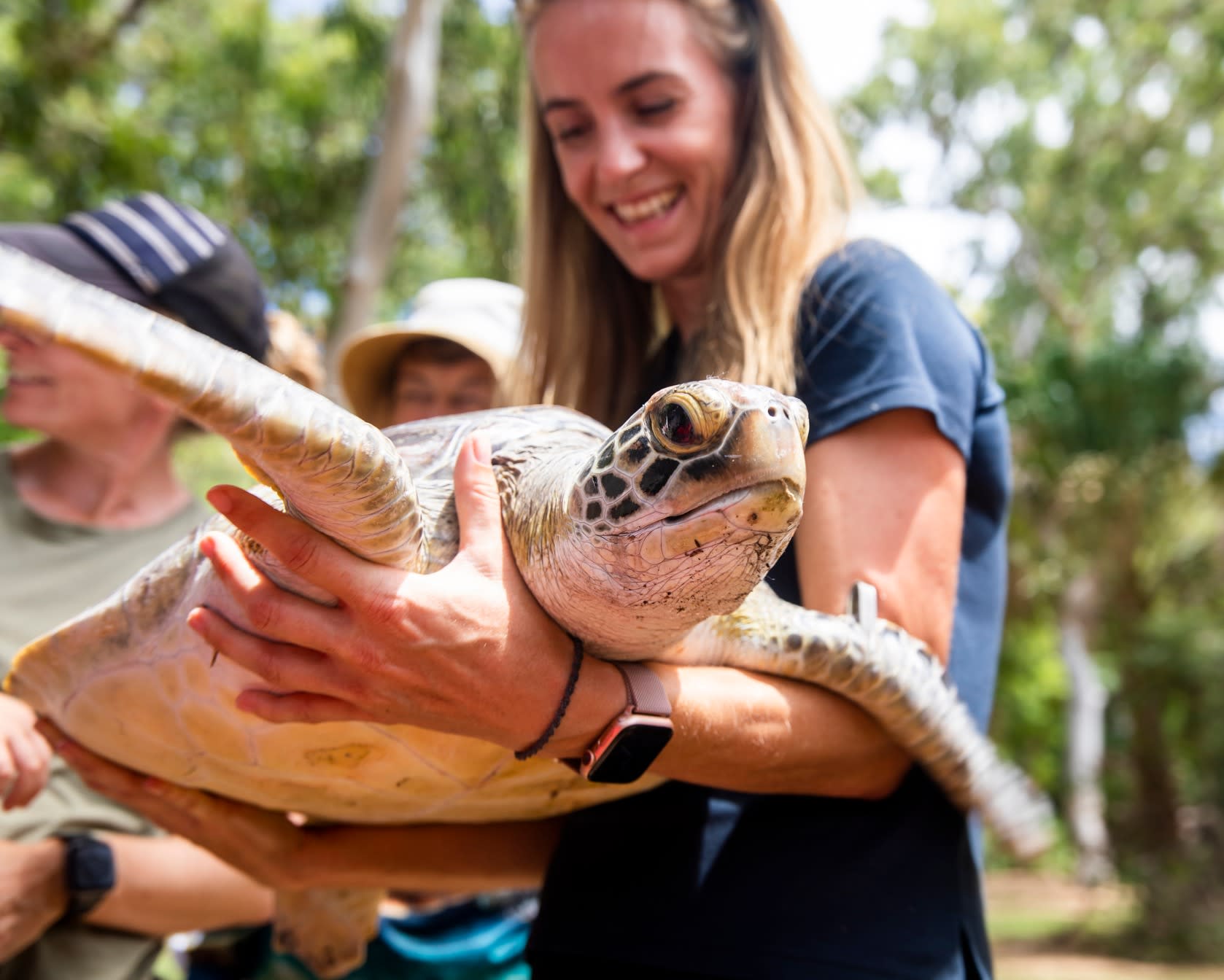 One of the Suncorp Charity recipients - Quion Island Turtle Rehabilitation Centre.