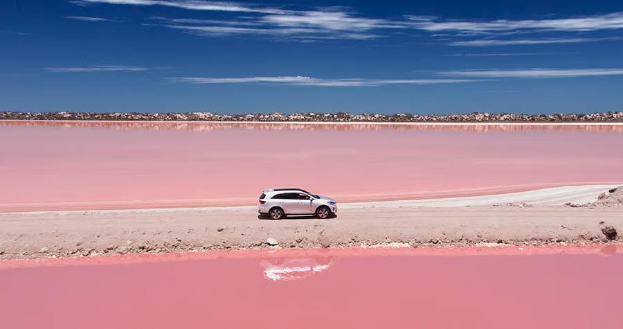 &nbsp; Sorento&nbsp;Large SUV&nbsp;pictured&nbsp;&nbsp;