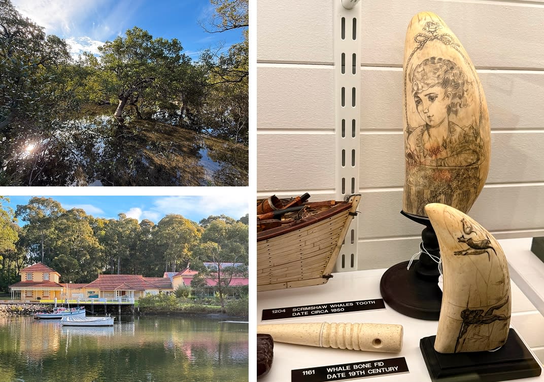 Huskisson – (L top) view from the Huskisson Mangrove Boardwalk, (L below and R) the Jervis Bay Museum and Gallery, with (whale teeth) scrimshaw, Science and the Sea Gallery