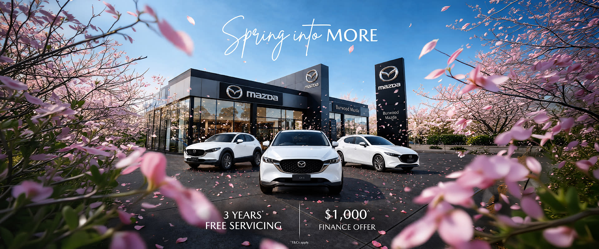 Image Banner