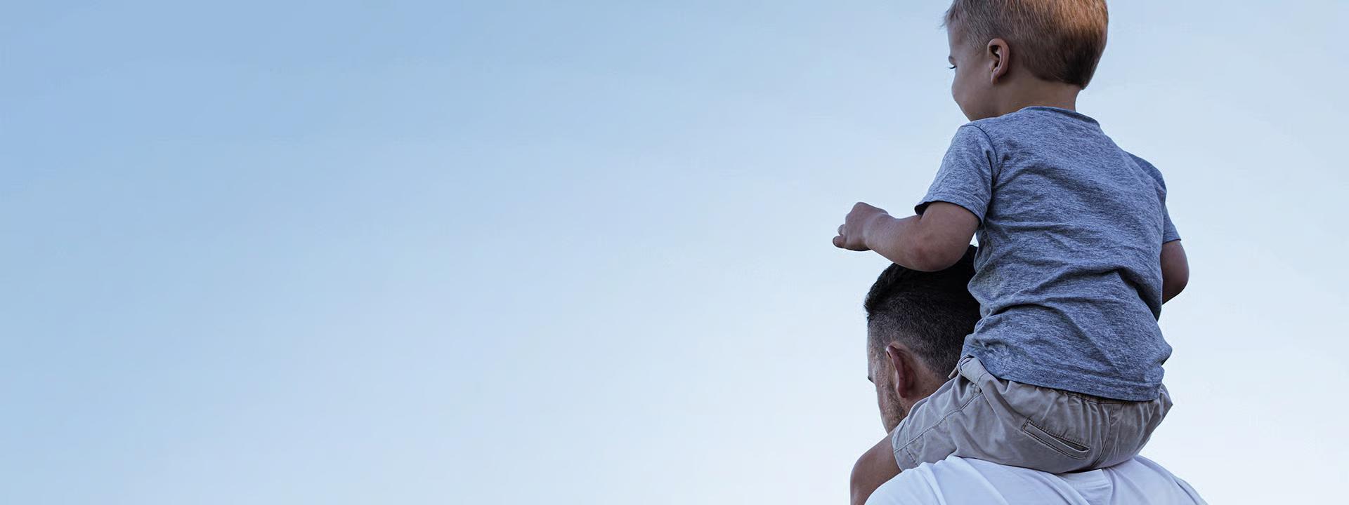 Hyundai Lifetime Service Plan.