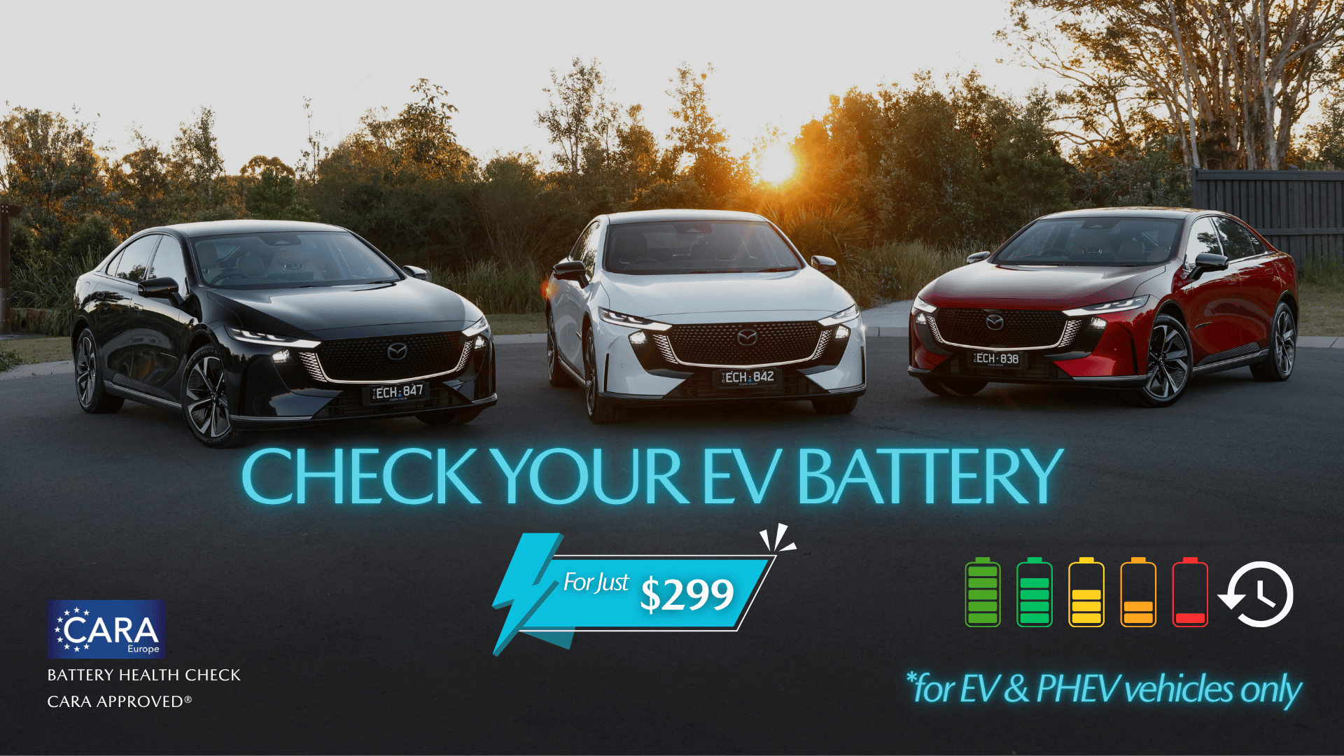 Image Banner
