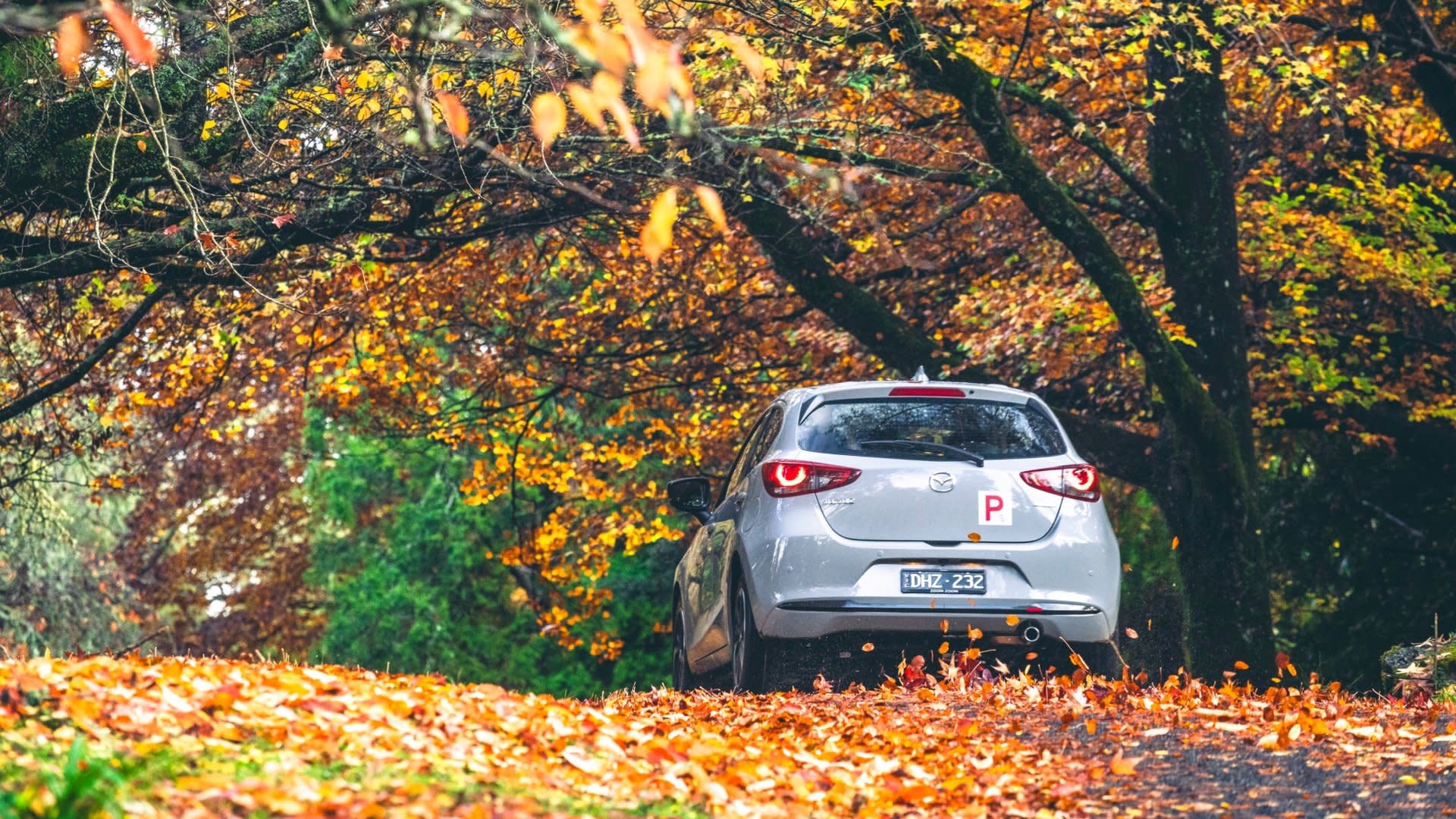 Grand Parenting At Its Best