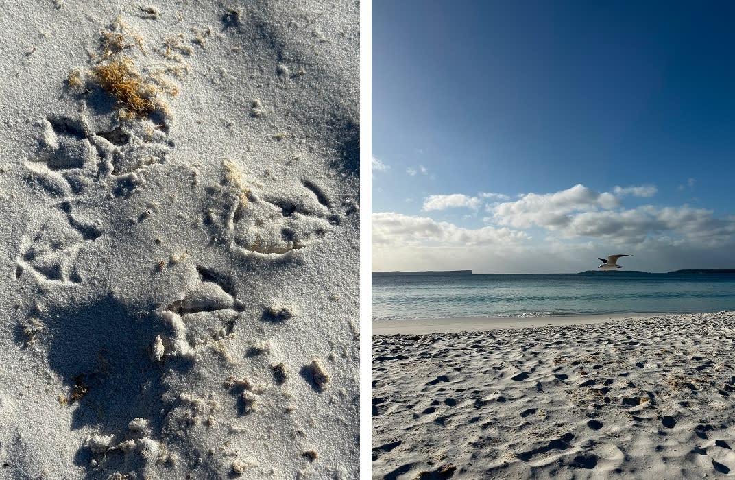 Hyams Beach famous white sand and view to the heads of Jervis Bay, NSW South Coast