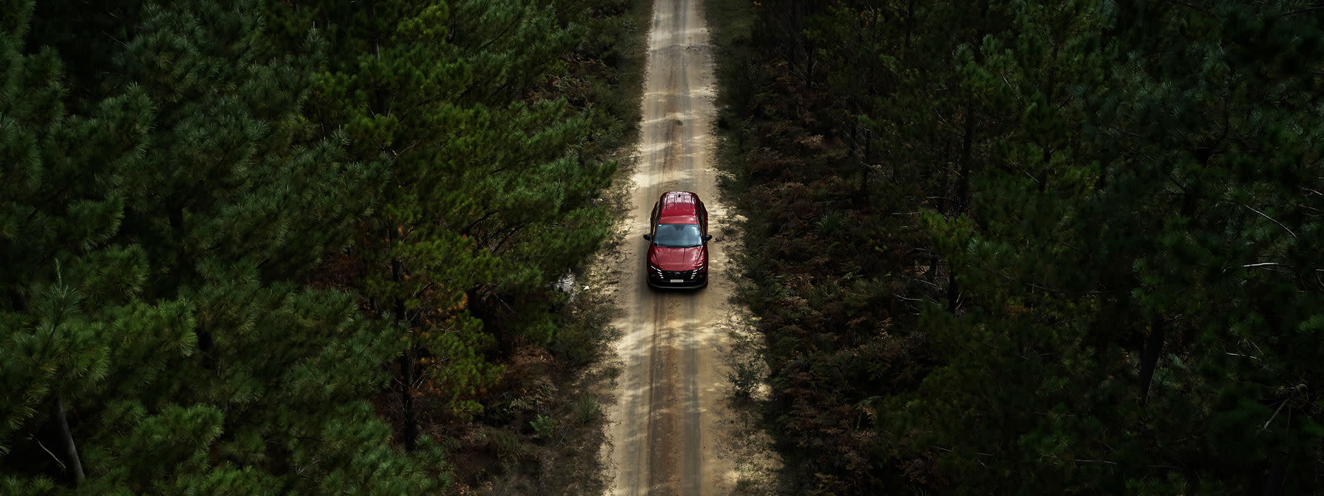 Hyundai Premium Roadside Support Plan.