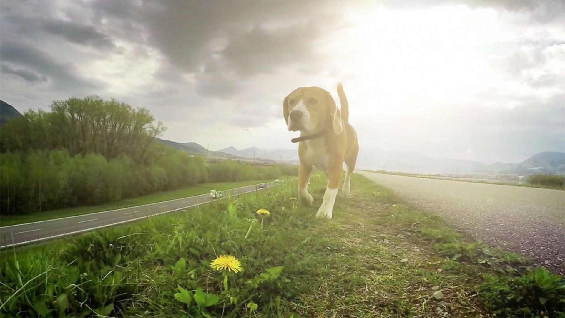 What to look out for when trading in a car with Finance owing on it? banner