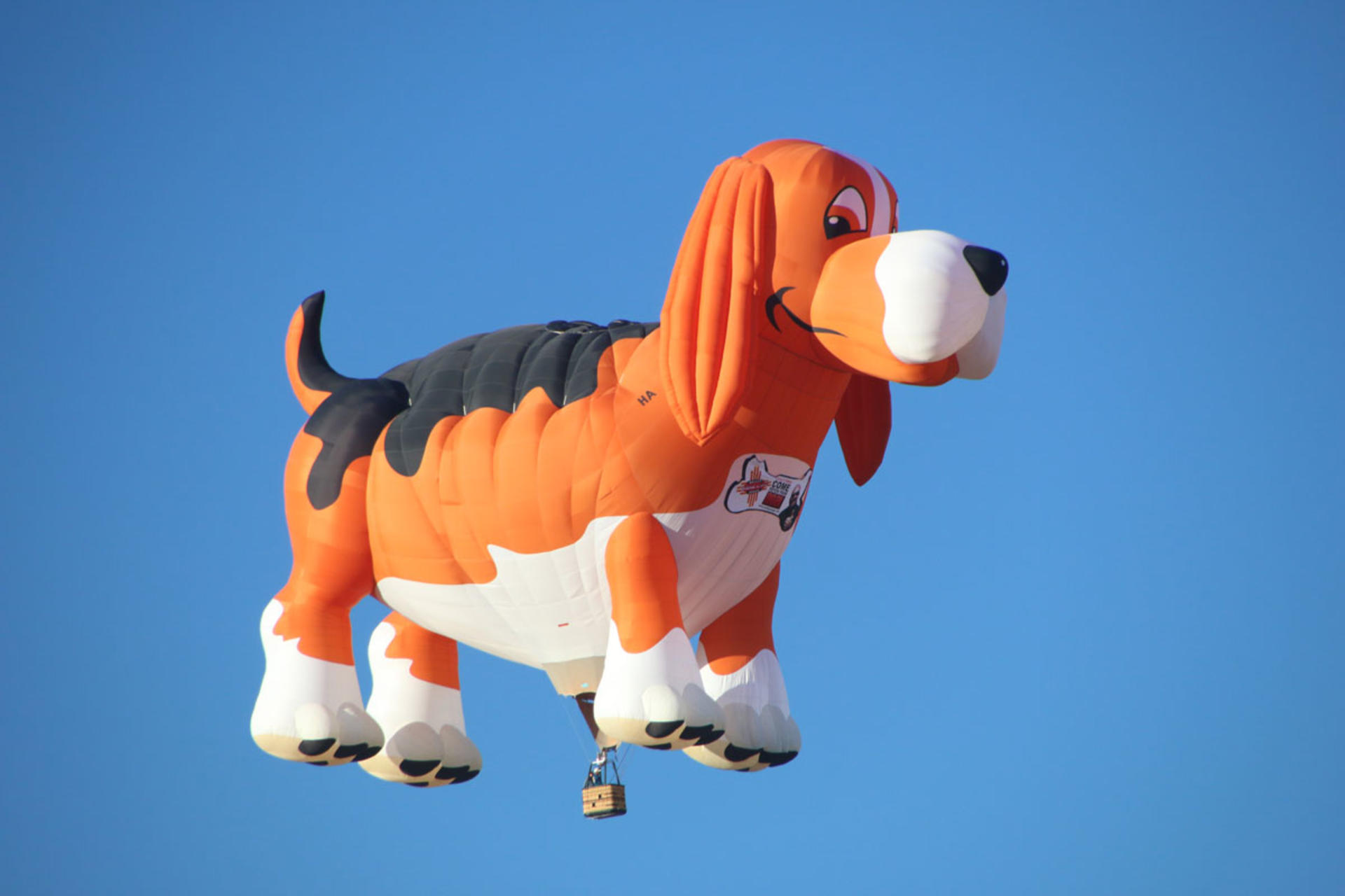 Everything you need to know about Balloon Payments banner