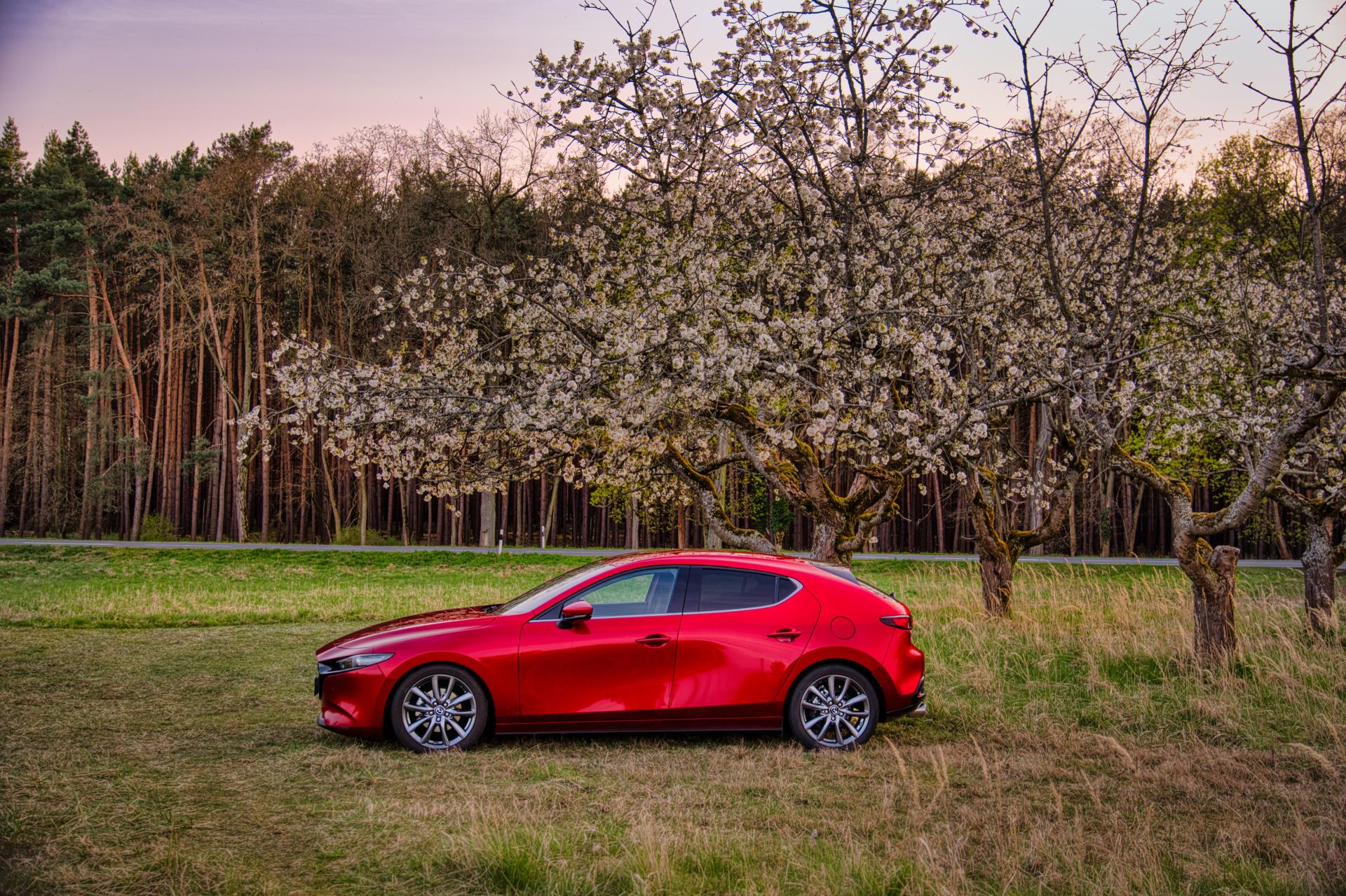 Spring Car Buying Guide: Why It's the Perfect Time to Upgrade banner