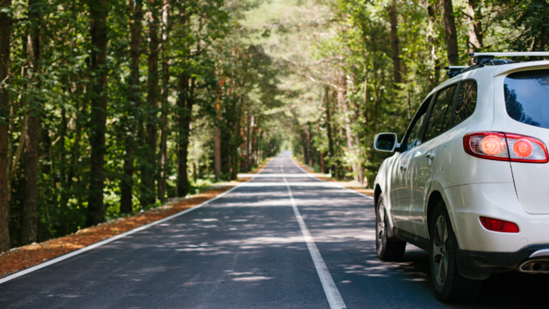 Choosing the Perfect Summer Ride for Western Australia (WA): Top Picks for Beach Trips and Road Adventures banner