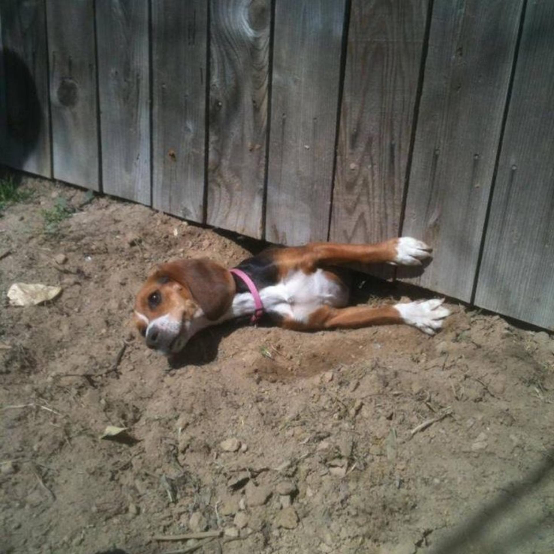 Digging your way out of debt banner