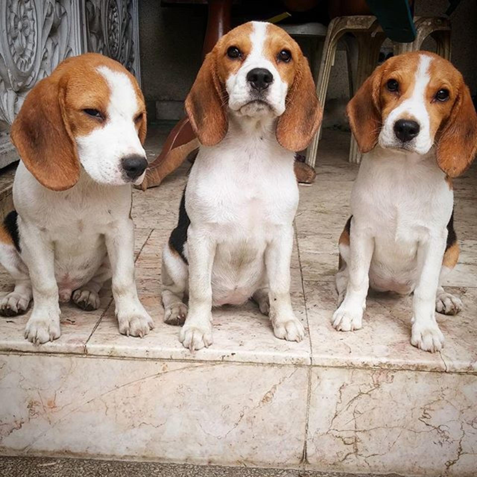 The 7 deadly do's and don'ts of your credit score banner