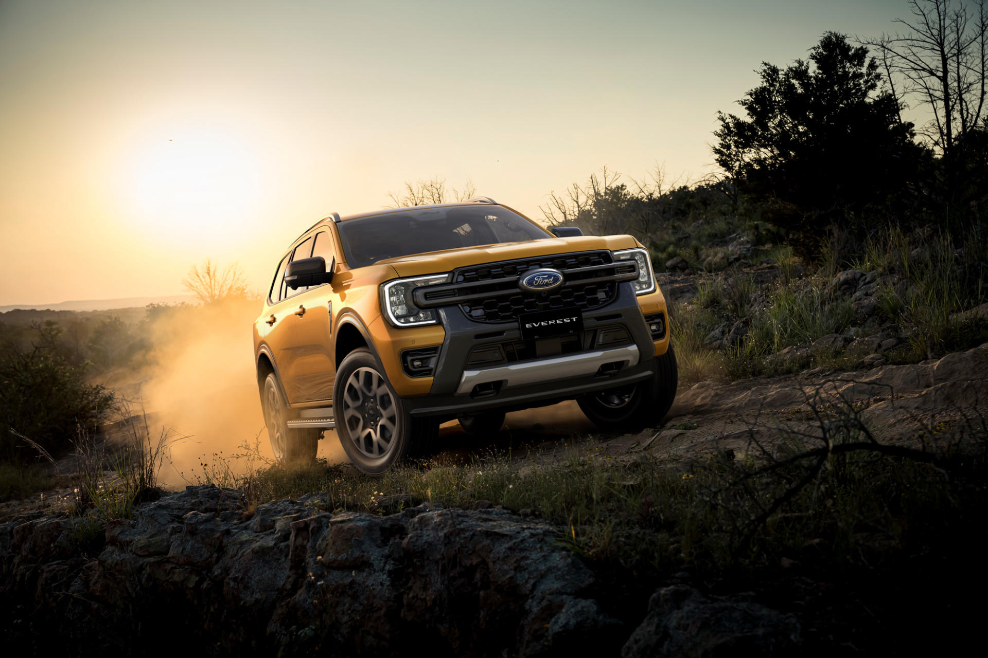 Is the Ford Everest Cheaper to Own Than a Prado? banner