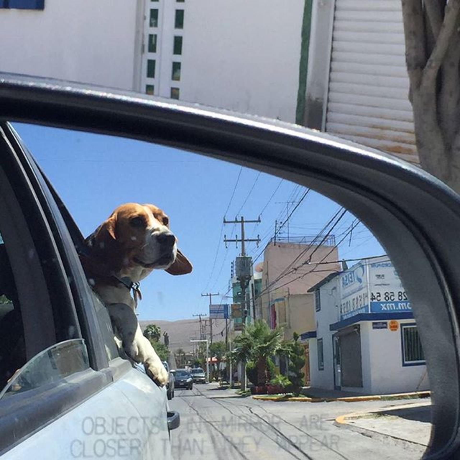 Financing Your Next Car banner