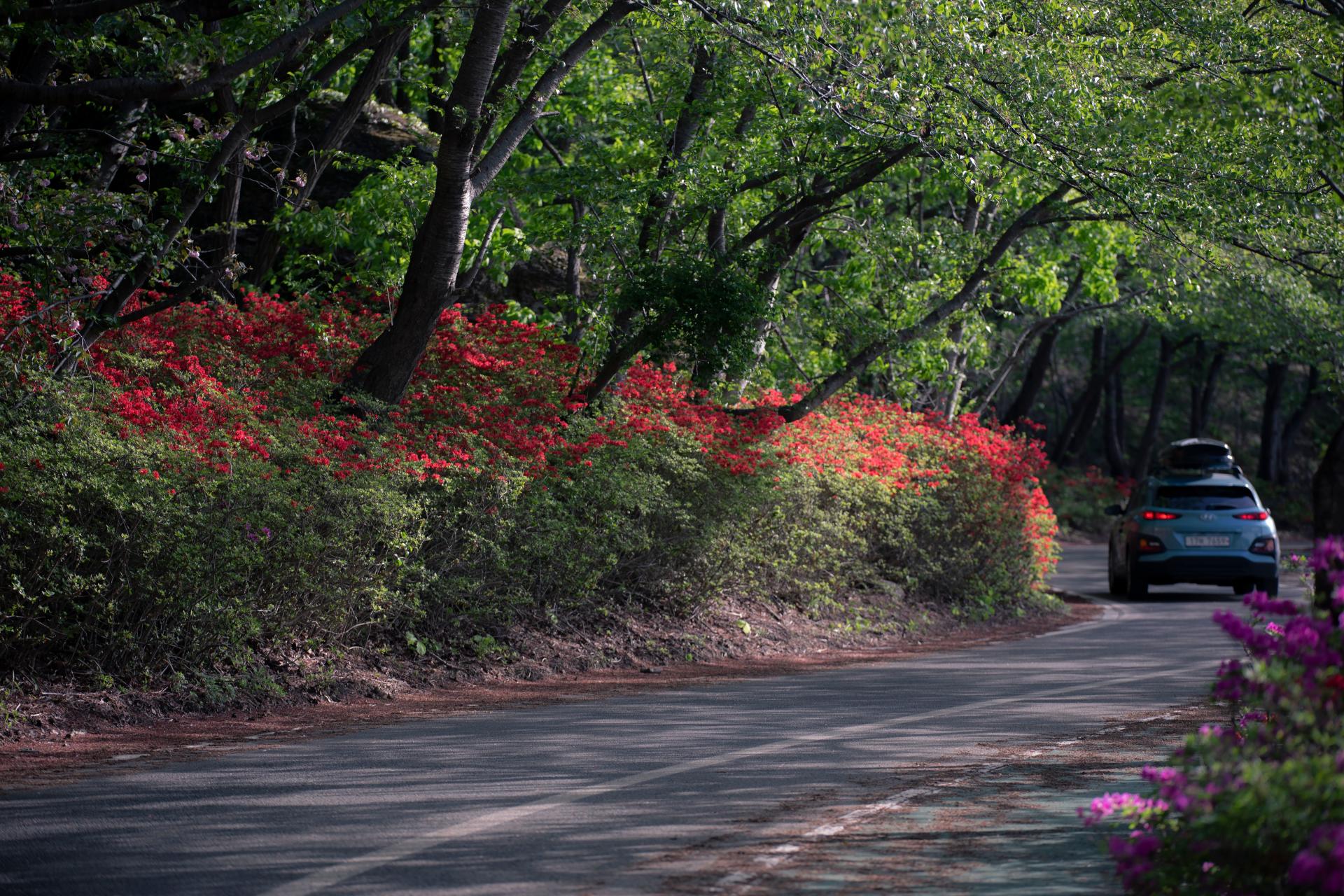 Preparing Your Car for Spring Road Trips: A Safety and Budget Checklist  banner