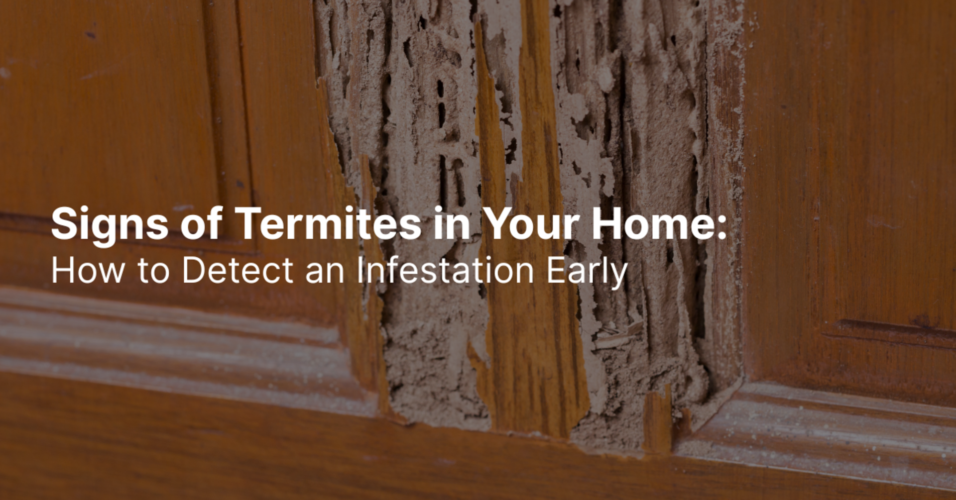 Signs of Termites in Your Home: How to Detect an Infestation Early banner