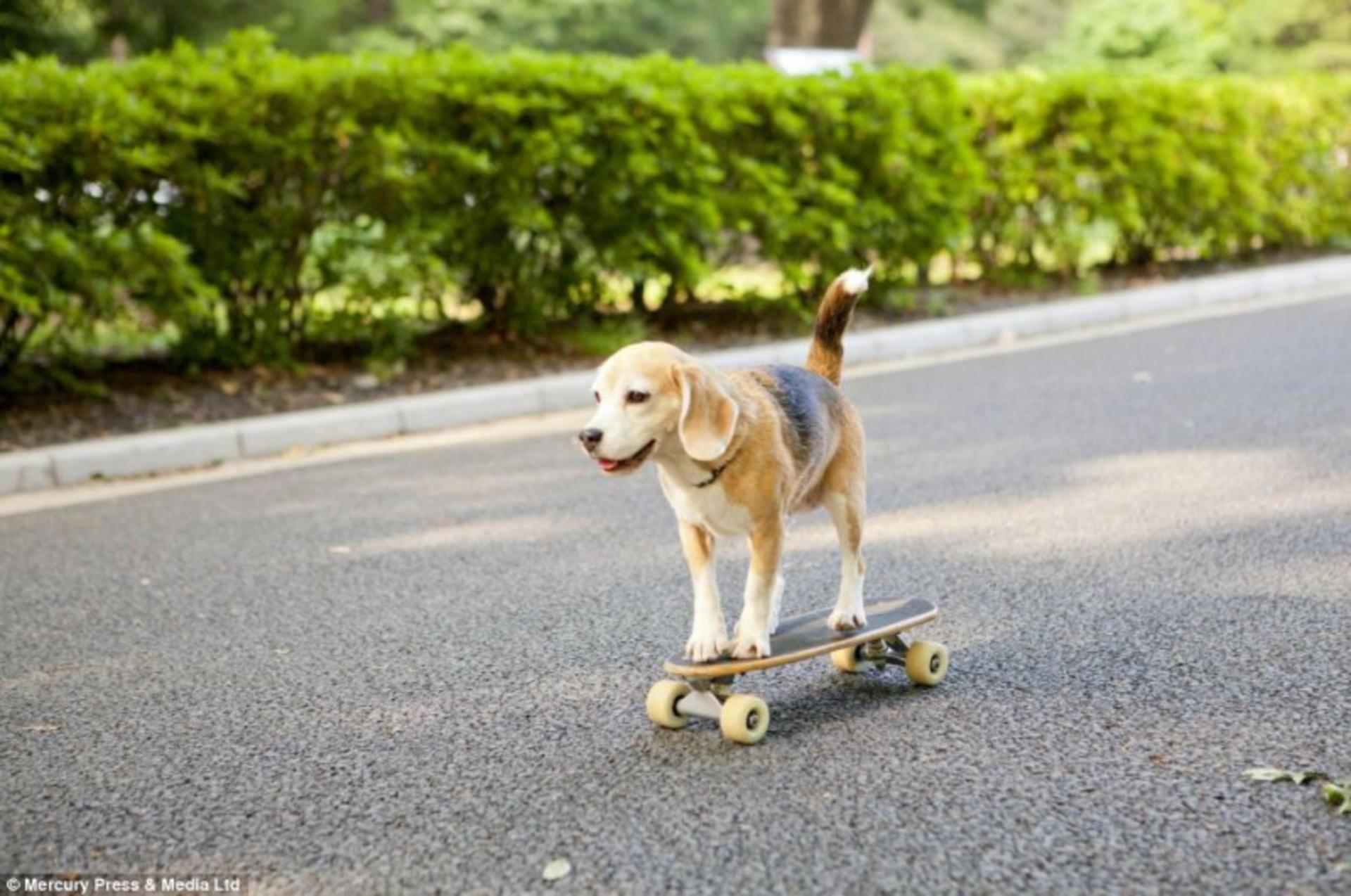 What’s the Best Way to Sell My Car? banner