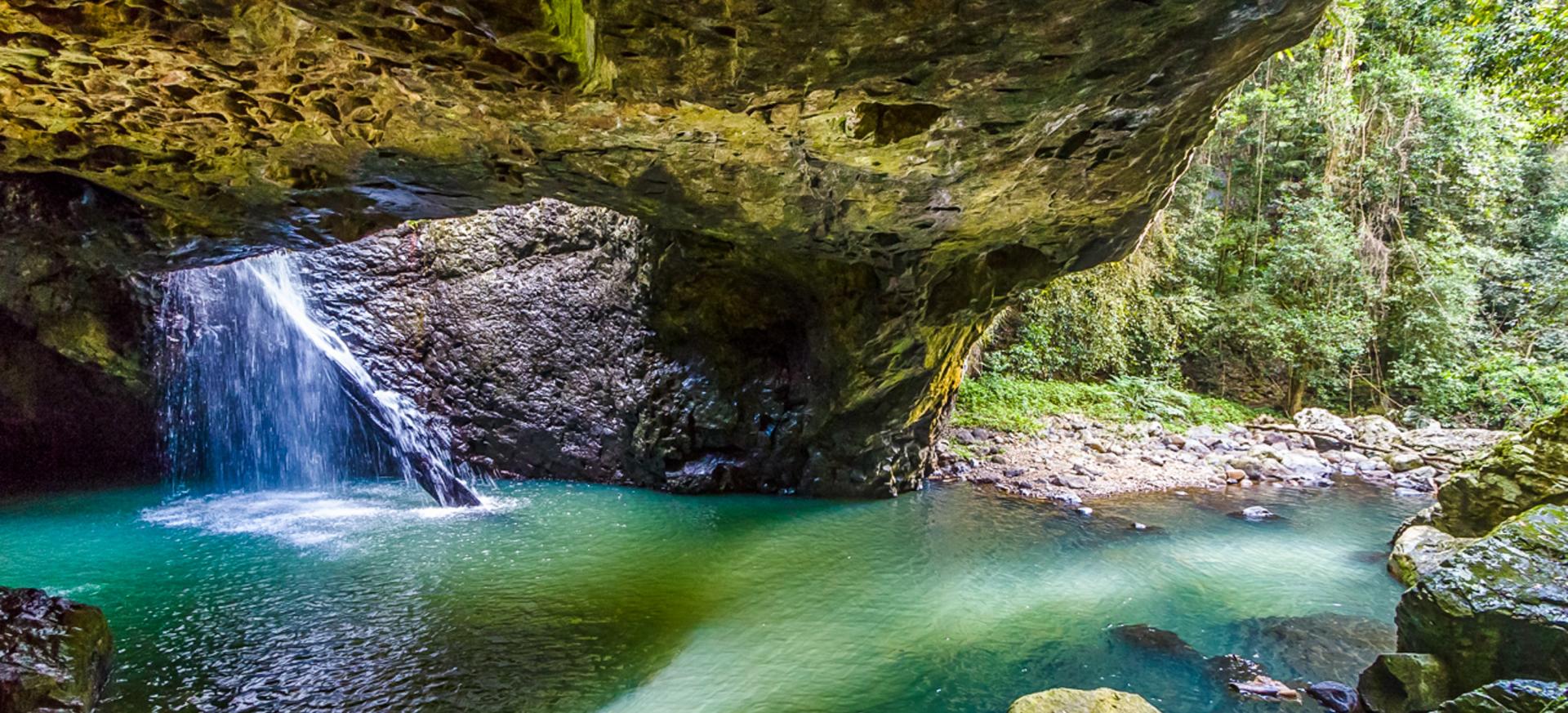 A Nature Escape on Your Doorstep: Springbrook National Park banner