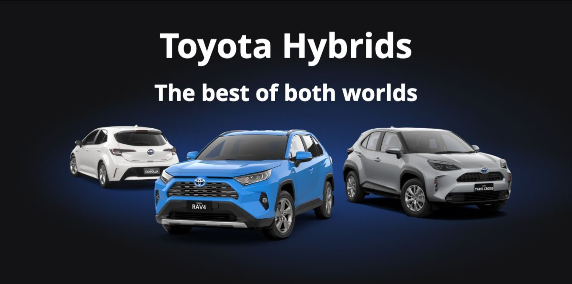 Why Choose Hybrid? banner