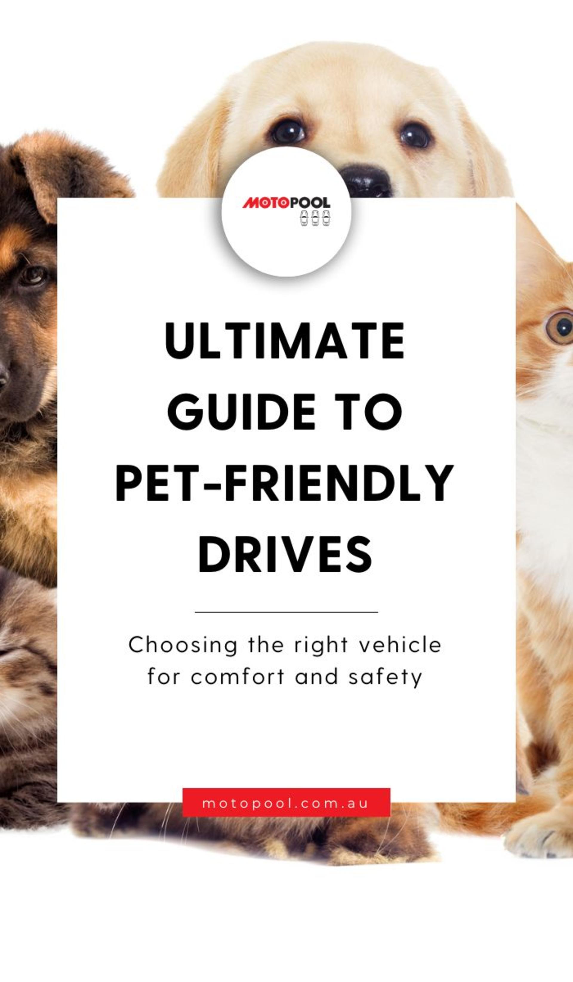 Pet-Friendly Journeys: Enhancing Canine Comfort with Car Subscription Platforms banner