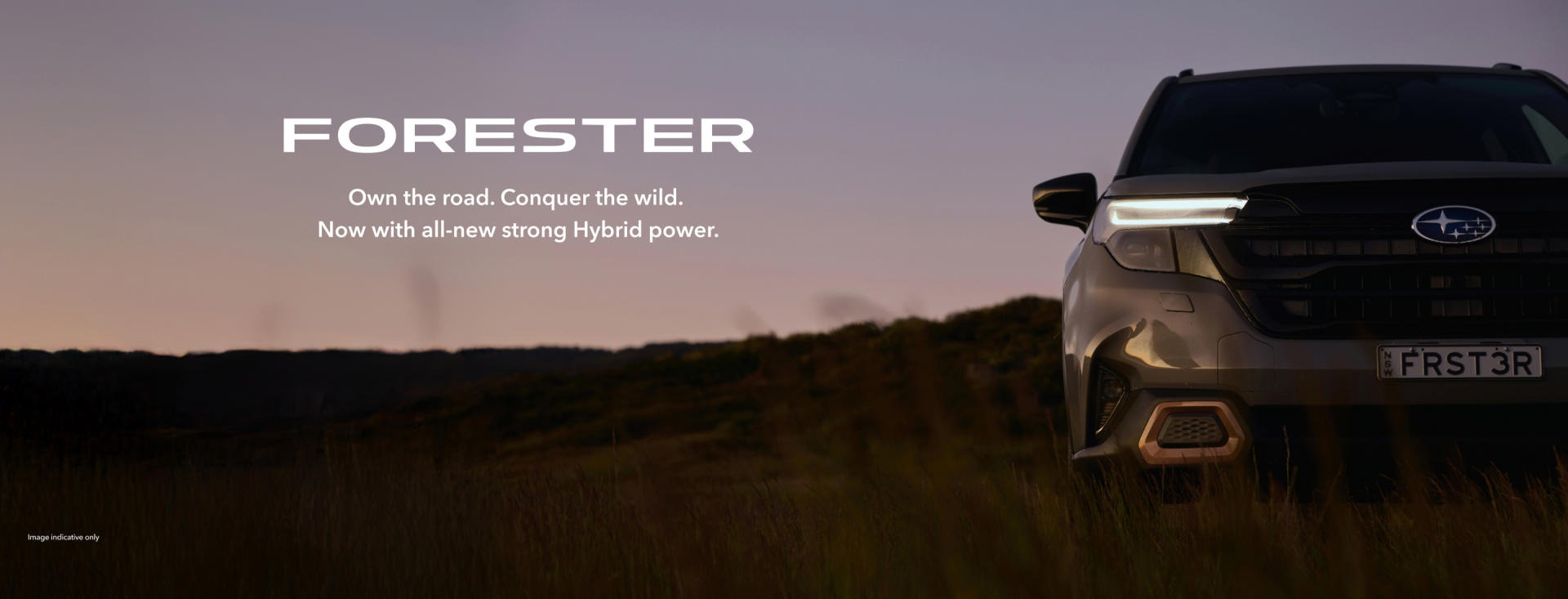 Conquer the wild.  banner