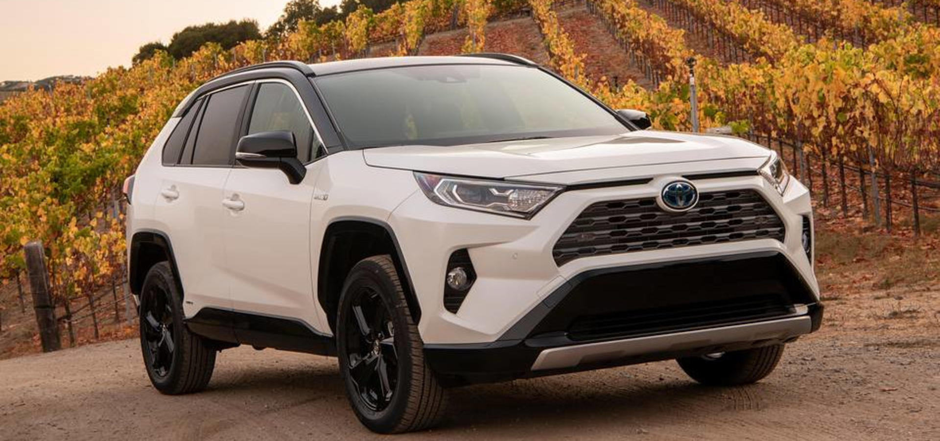 2024 Toyota RAV4 Hybrid banner