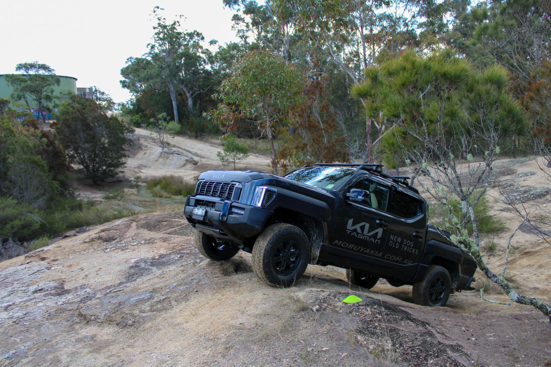 Comparison Day banner