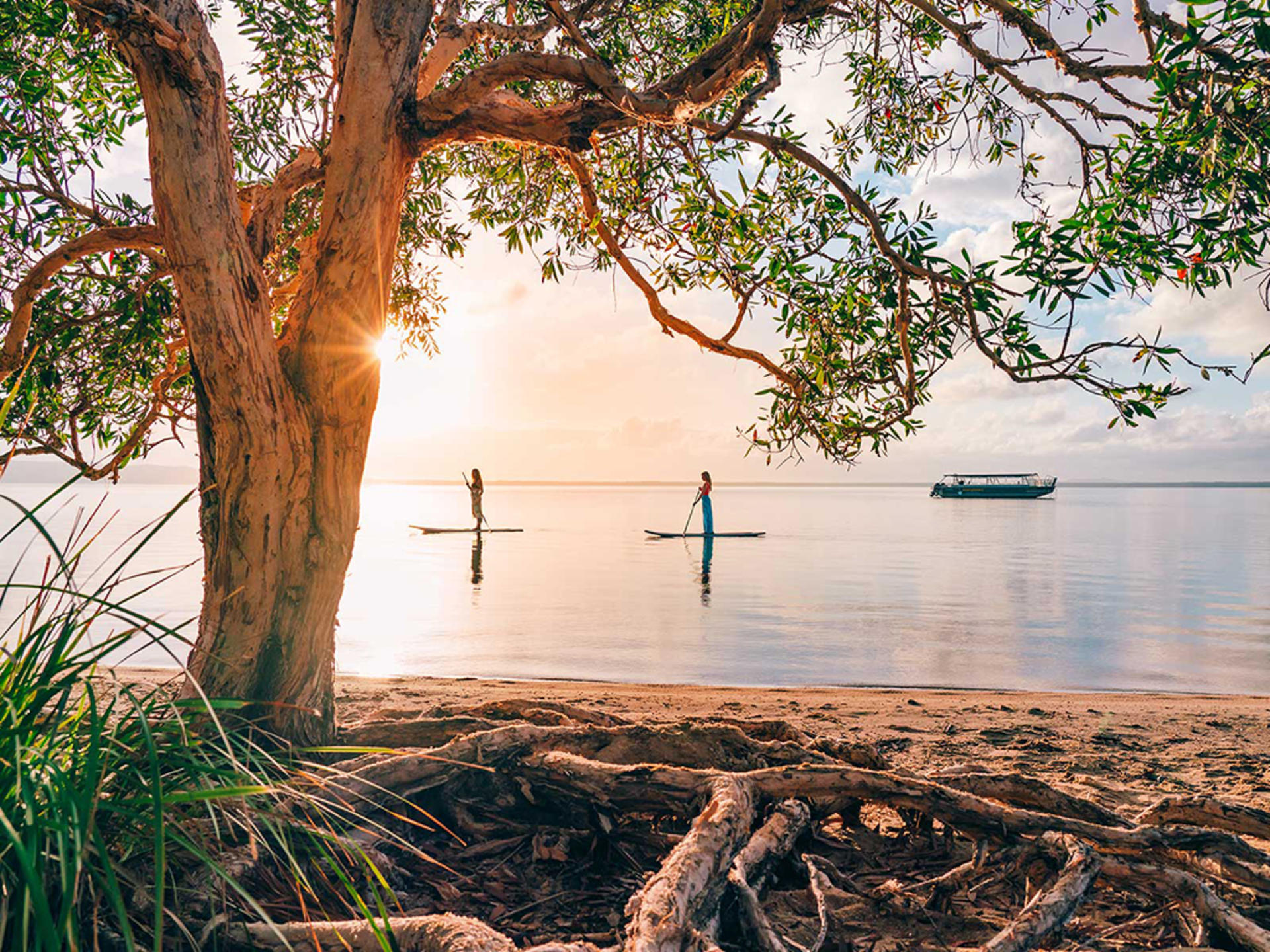 🍃 Ditch the Ordinary, Embrace Extraordinary!🍃 banner