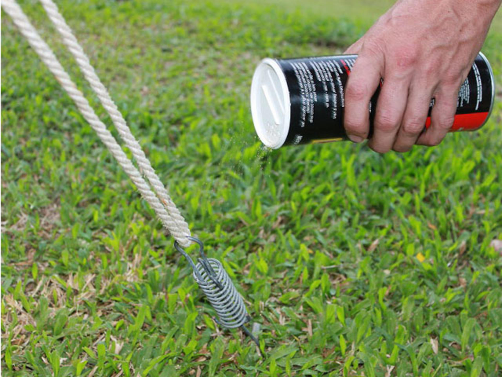 AVOIDING THE ANT INVASION banner